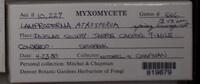 Image Associated With the Occurence